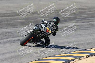 media/Feb-04-2024-SoCal Trackdays (Sun) [[91d6515b1d]]/4-Bowl Backside (11am)/